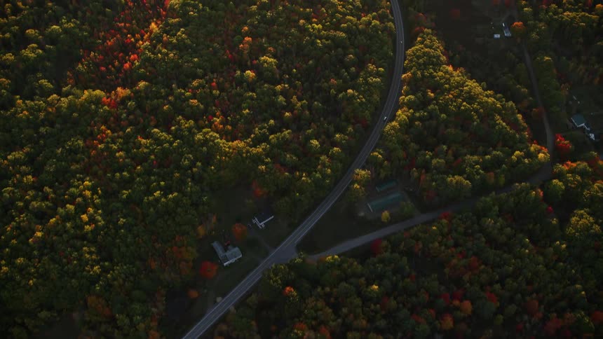 Skyline forest in a small rural town during the day