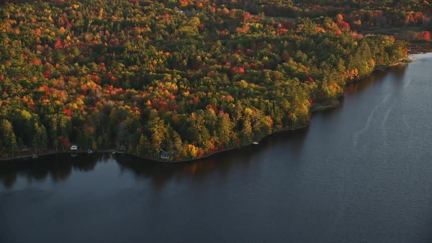 Aerial view of a body of water and an autumn forest