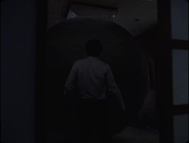 Person stands facing large dark circle indoors