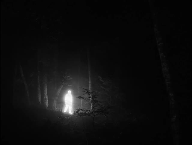 A brightly glowing man is walking through the woods at night and illuminates the area around him as he walks