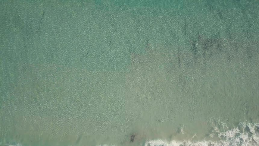 Top down aerial view of waves on the shoreline of a beach