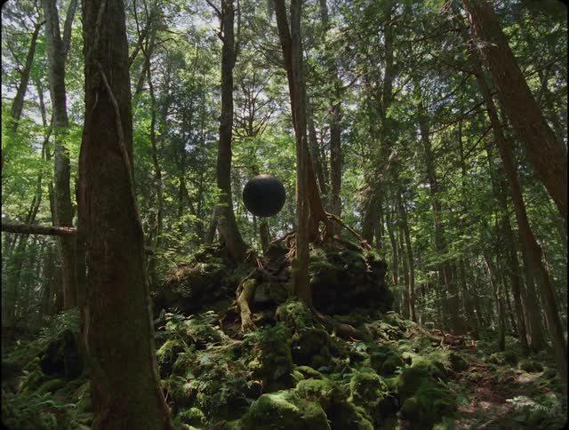 A sphere floating in the middle of the forest
