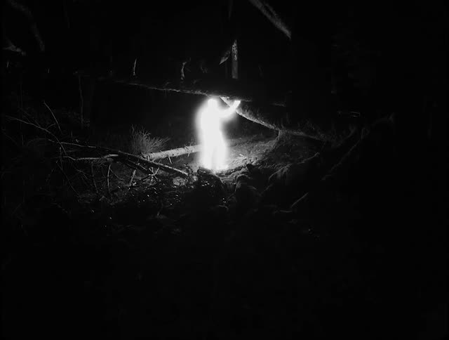 A humanshaped light walking through the forest at night