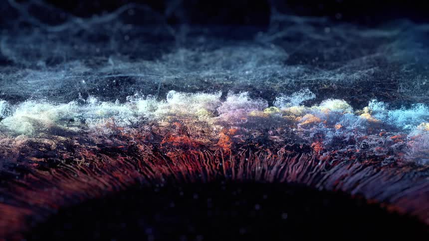 Abstract colorful particles and dust on black background