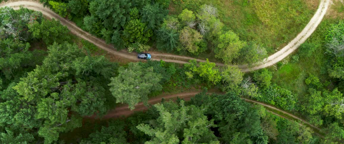 Aerial view of vehicle driving road through trees long pond