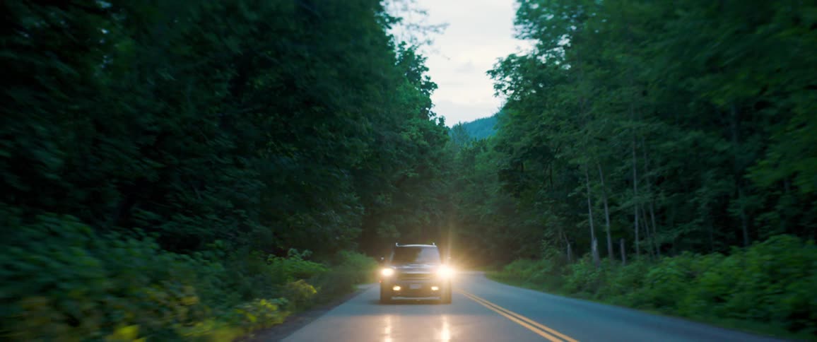 Blue car driving on a highway through a green forest