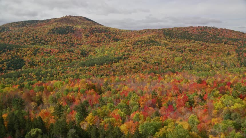 Aerial view of trees and mountains fall landscape