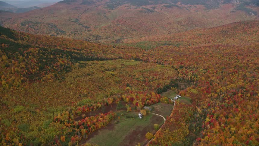 Trees turning colors during fall in the countryside with very few building