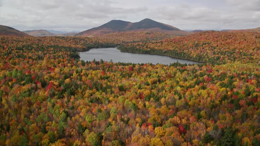 Landscape of a forest filled with colorful coniferous trees with a central lake and mountains on the horizon