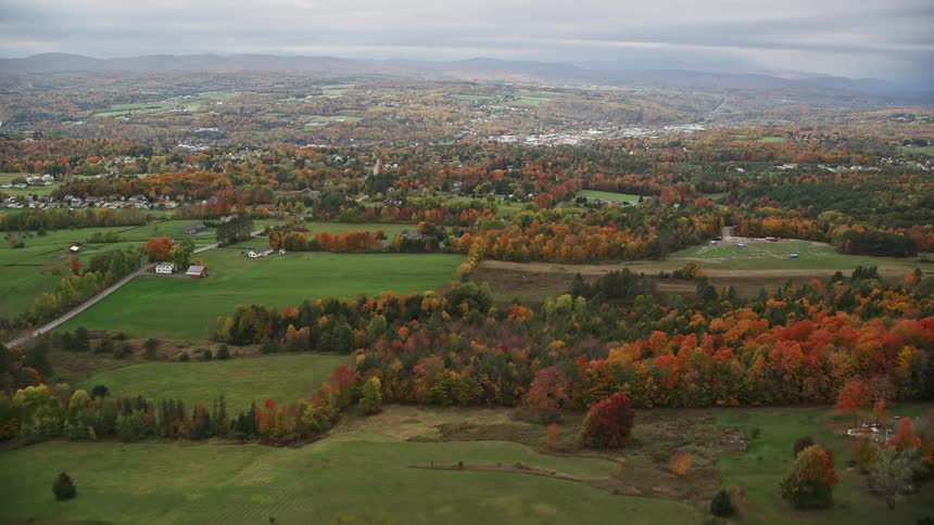 Aerial view of a rural area with trees and a few scattered homes
