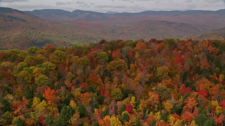 An aerial panorama of a forest under mountains with a residential area in the background on the horizon