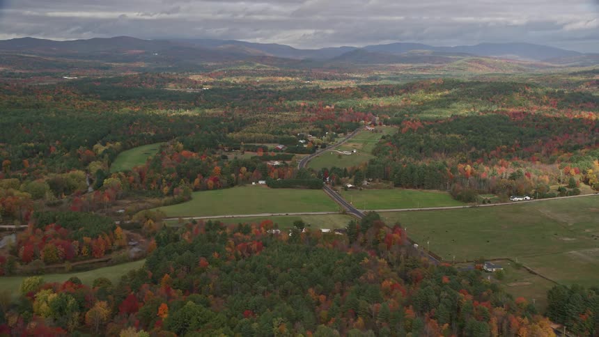 The rural area is surrounded by trees