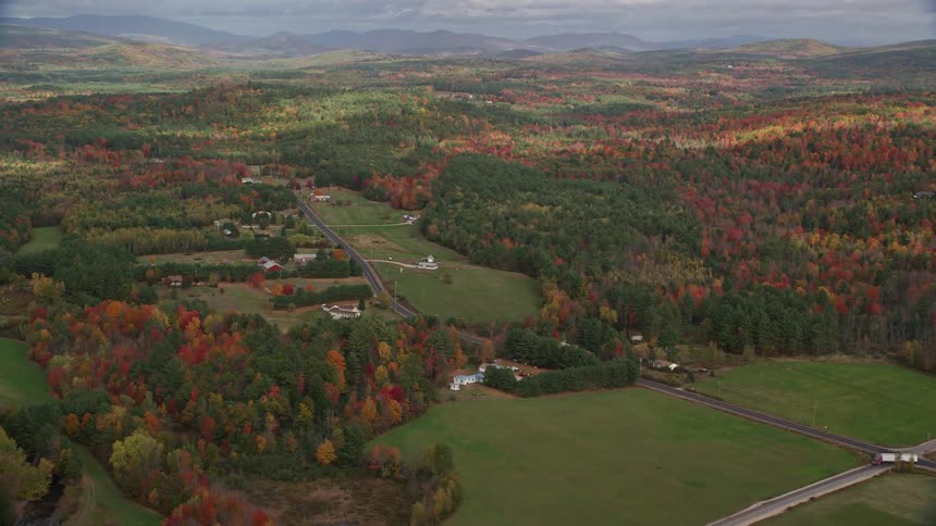 An aerial view of residential houses by the highway and amidst forests