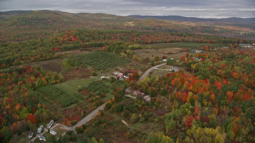 A small town with buildings and farmland