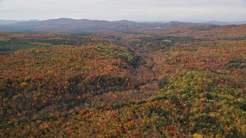 An aerial panorama of a forest with colorful trees and mountains on the horizon