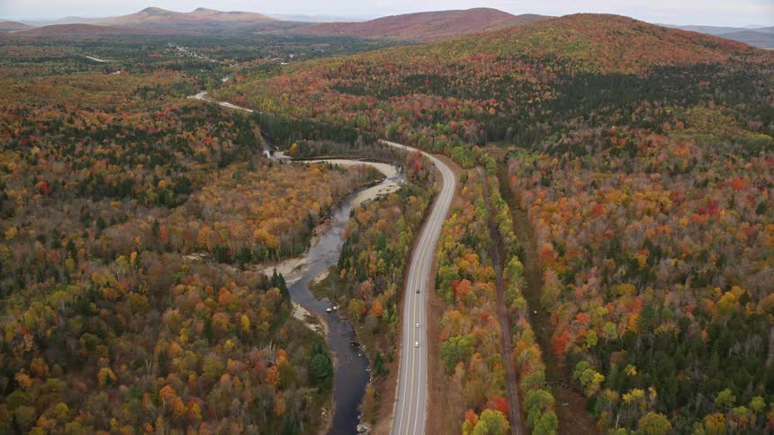 Aerial view of vast woodland with a road in the middle