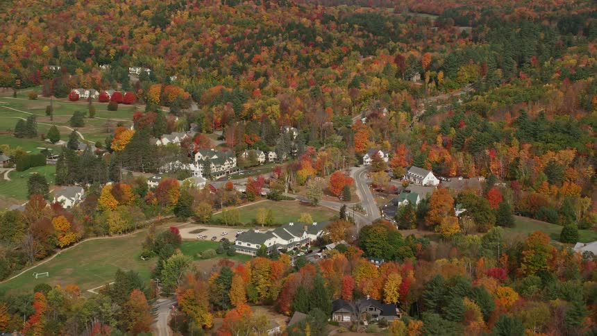 Aerial of buildings surrounded by trees in a rural area at midday