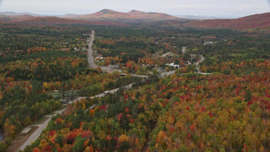 A small rural area with some houses surrounded by trees