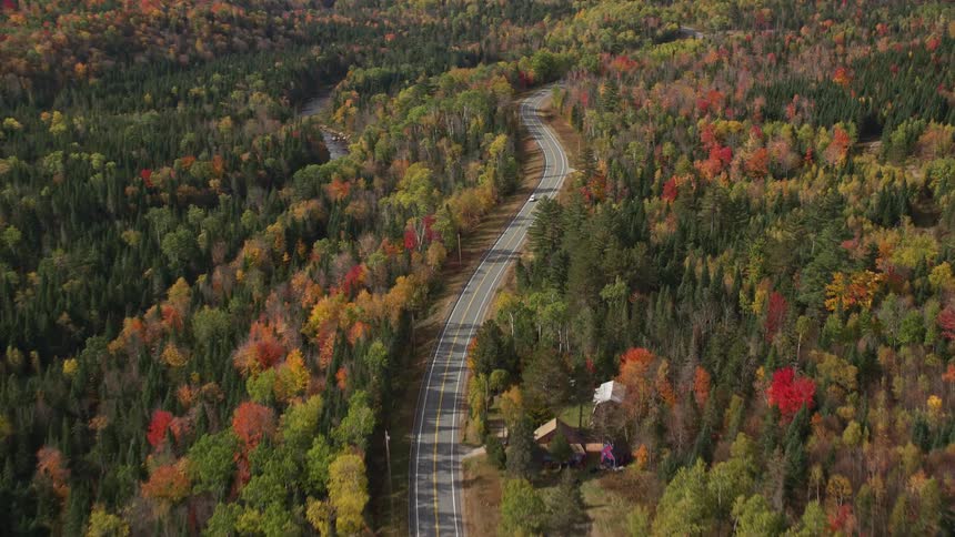A road that is surrounded by a large number of forest trees