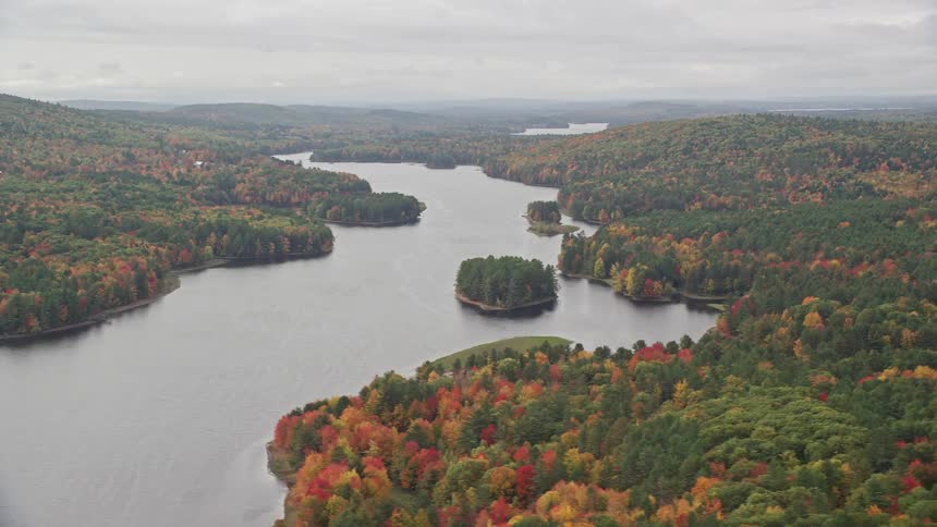 A large forest is on both sides of the river