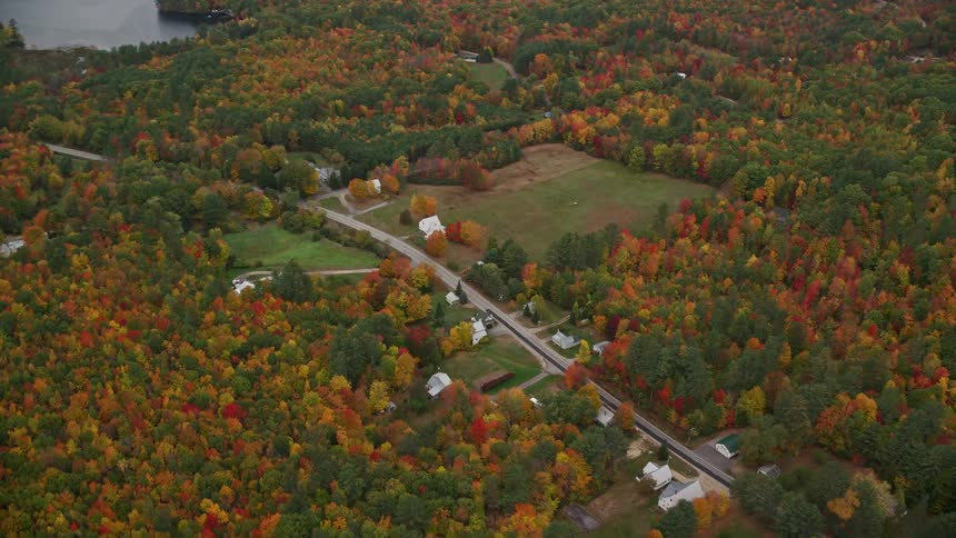 A road passing through a small town with trees surrounding the town and a lake in a distance