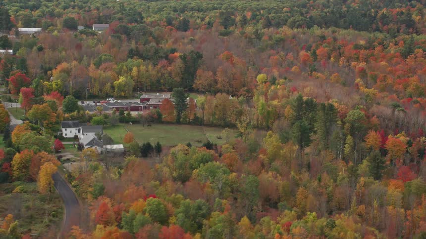 A small town is in the forest