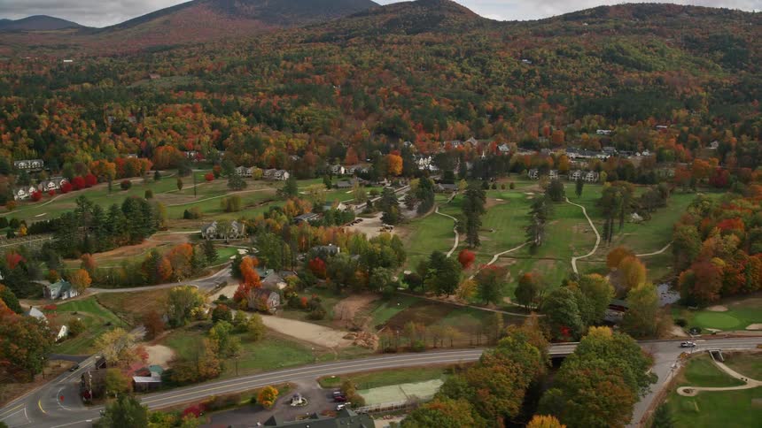A rural area with some houses surrounded by trees