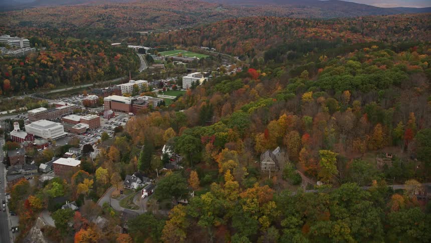 Aerial of an urban neighborhood with forest
