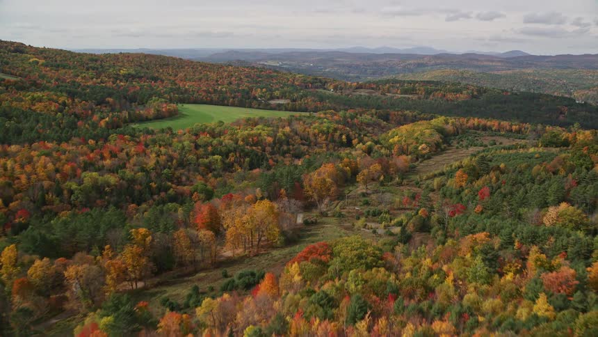 A colic region full of forests of trees and some of their leaves are turning orange