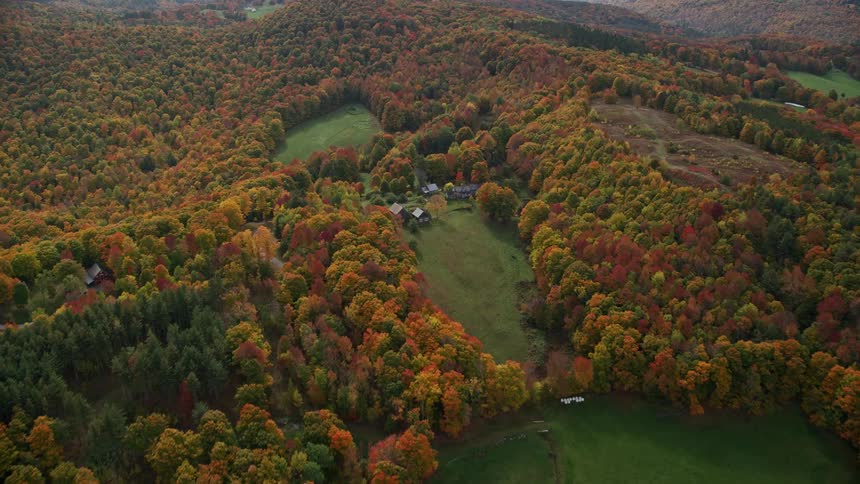An aerial view of small houses and barns in an area of vegetation and forest