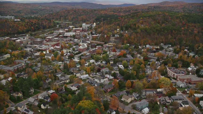 A city with several houses and around there are several forests
