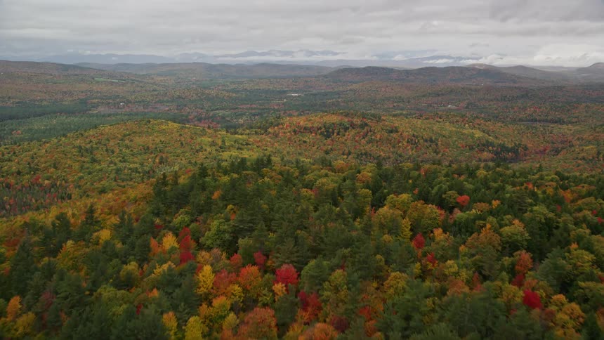 A dense forest on top of hills that goes all the way to the horizon
