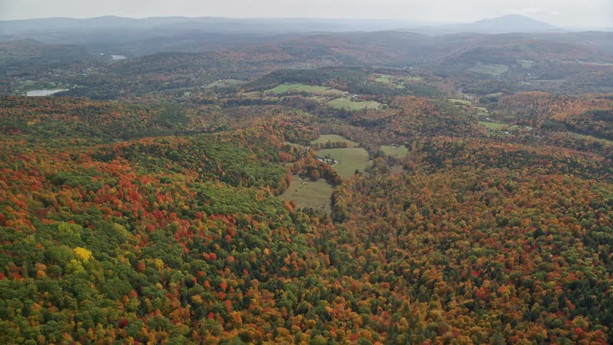 Aerial view of a brown and red forest during autumn