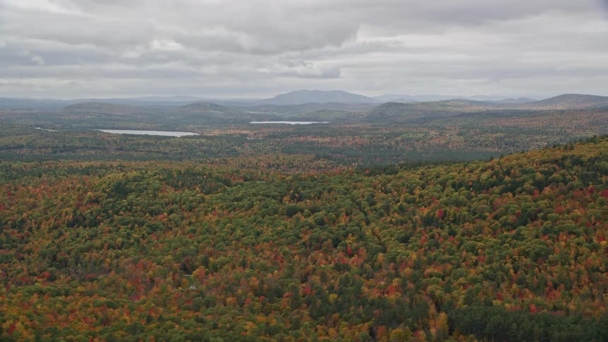 Aerial view of a vast red and brown forest on a cloudy day