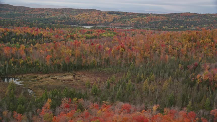Aerial view of forested mountains with trees in bright fall colors and mountains and a river in the distance