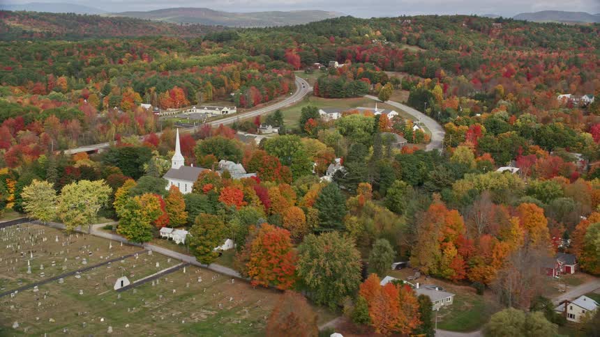 A rural town with a few houses and many scattered trees