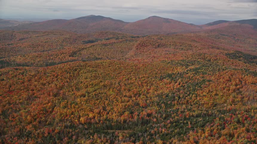 Aerial of foggy deciduous forest and mountains during the fall