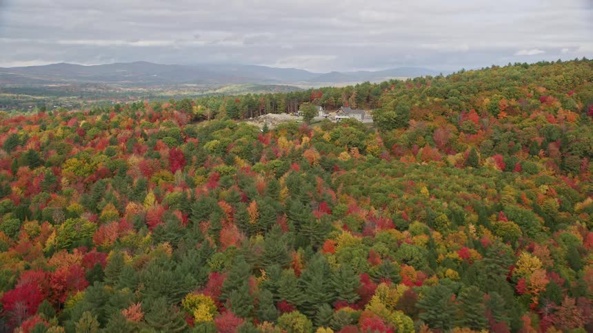 Aerial view of a house surrounded by forests in the countryside