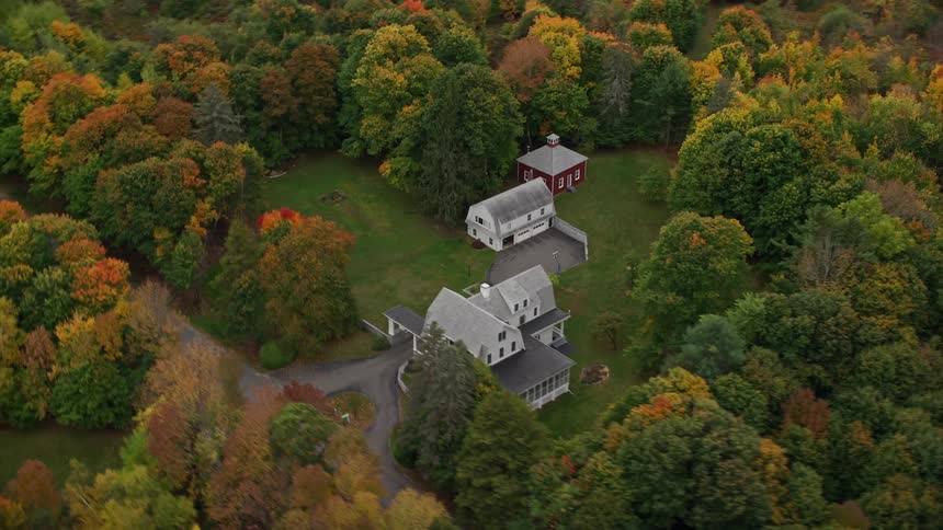 A remote and alone house in the middle of forests of trees
