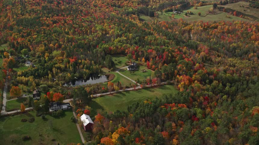 A rural village with few houses and forest with trees surrounding he area