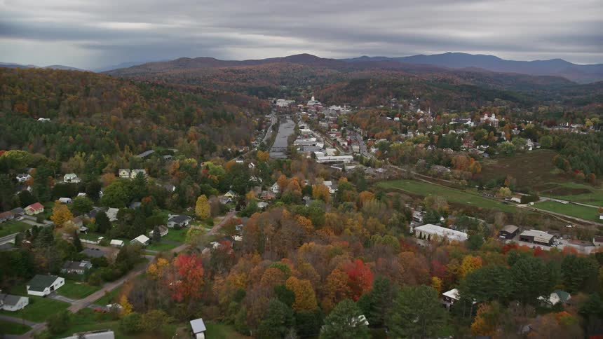 The skyline of a neighborhood surrounded by forest