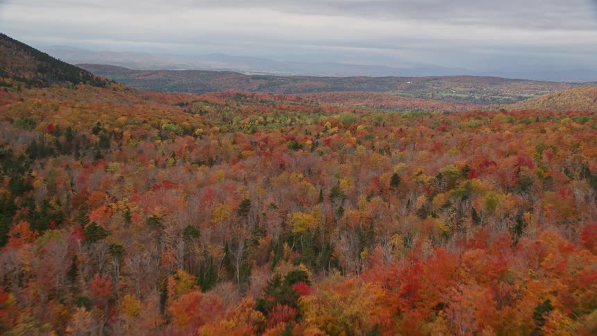 Aerial view of a forestest mountain with trees in bright fall colors and mountains in the distance