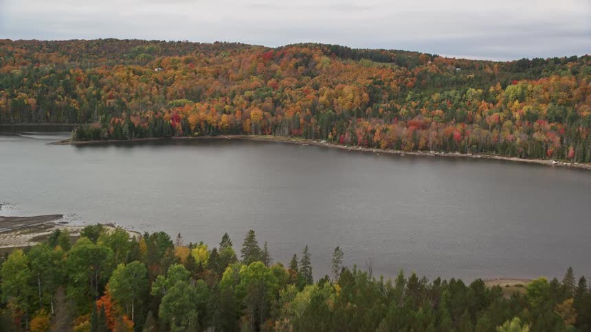 Aerial of a lake surrounded by a forest on a cloudy autumn day