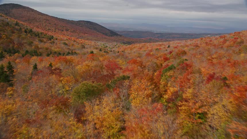 Aerial of a vast forest surrounded by hills on a cloudy autumn day