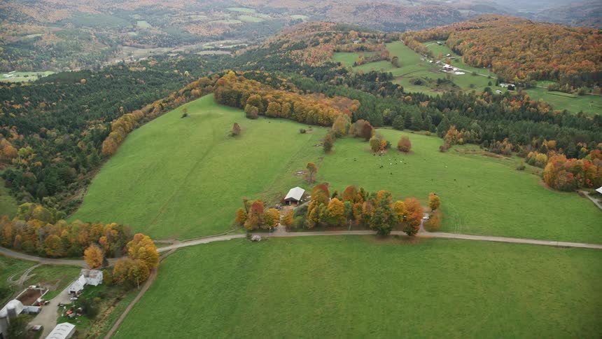 Aerial view of a forest meadows and buildings in the countryside during autumn