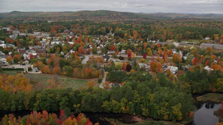 A forest leads to a small town