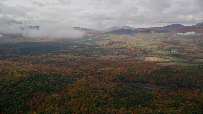 Aerial view of a forest the countryside next to the mountains