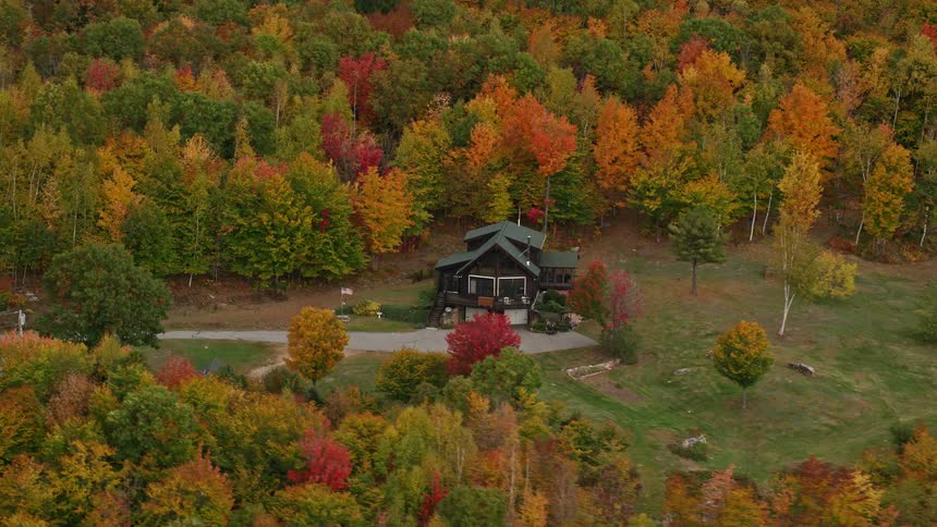 Forest with trees in fall foliage surround rural home