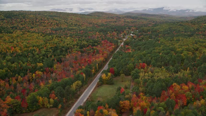 Aerial view of a road through the forest in a rural area