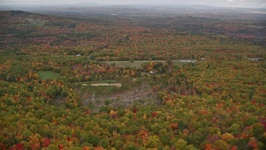 A rural area surrounded by forest